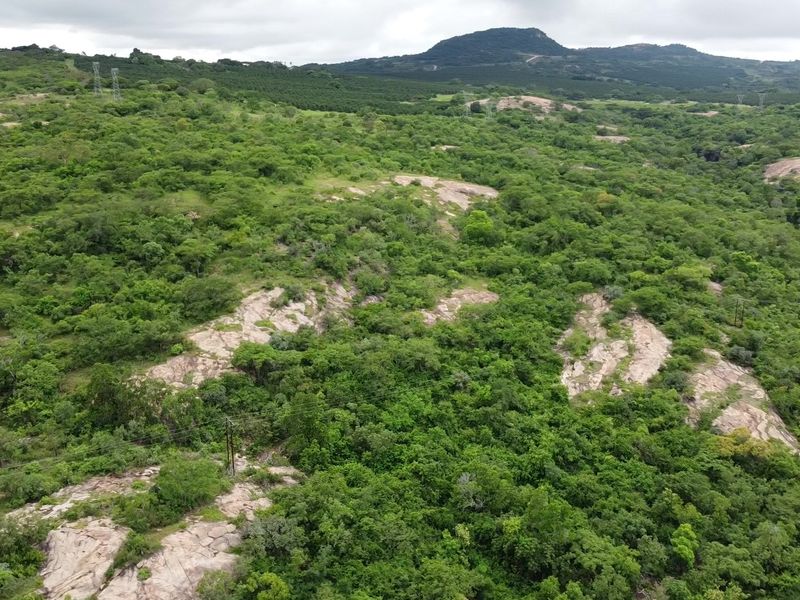 Pristine mountainous bush - Vacant Land - Photo 1