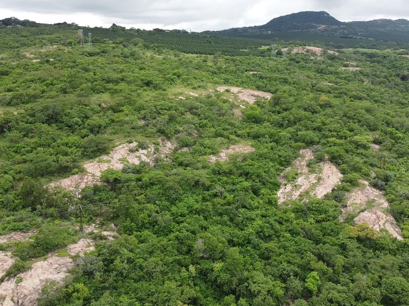 Pristine mountainous bush - Vacant Land - Photo 5