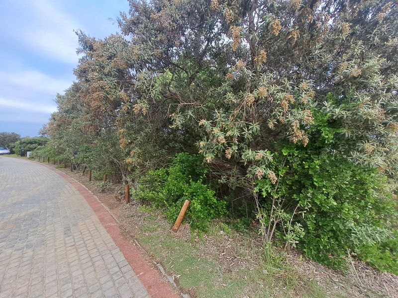 A view of a paved walkway bordered by timber bollards and mature landscaping on a residential property.