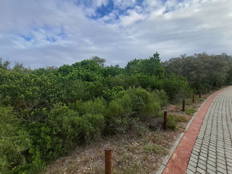 A view of a vacant residential plot featuring a paved walkway, timber bollards, and established native vegetation.