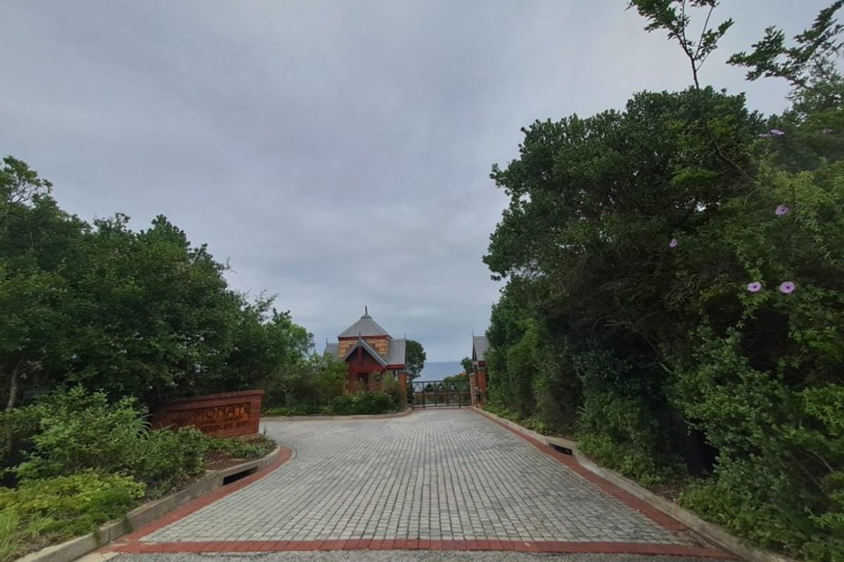 A view of the gated entrance and paved driveway leading into the residential estate, featuring established landscaping and a security gatehouse.