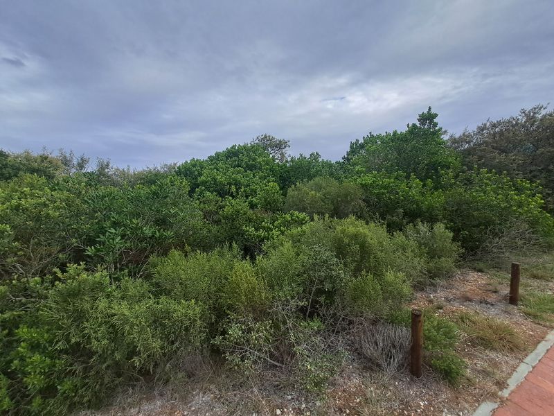 A view of a vacant residential plot featuring dense native vegetation and established boundary markers.
