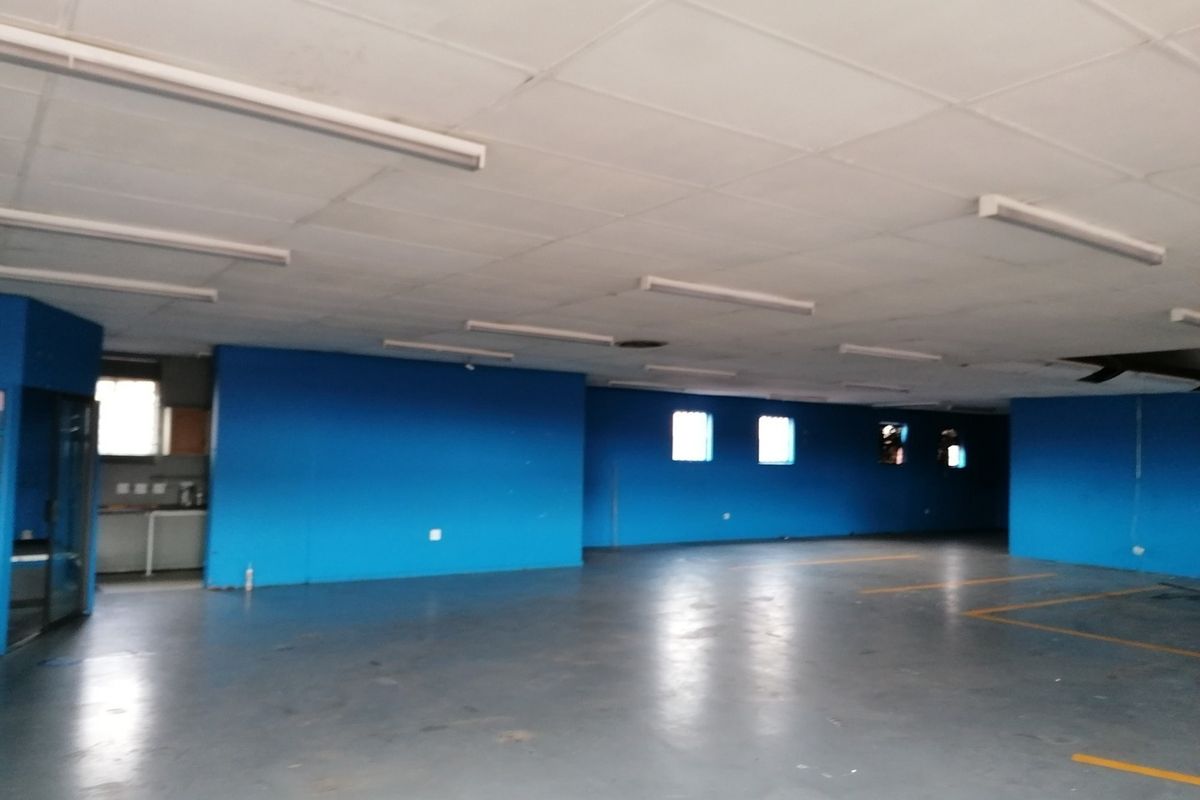 Spacious open-plan garage area featuring painted concrete flooring, suspended ceiling with fluorescent lighting, and marked parking bays.