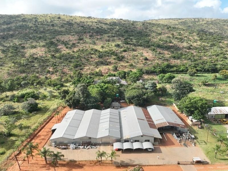 Aerial view of a large farm property featuring extensive industrial-style sheds with corrugated metal roofing, paved access areas, and surrounding rural landscape.