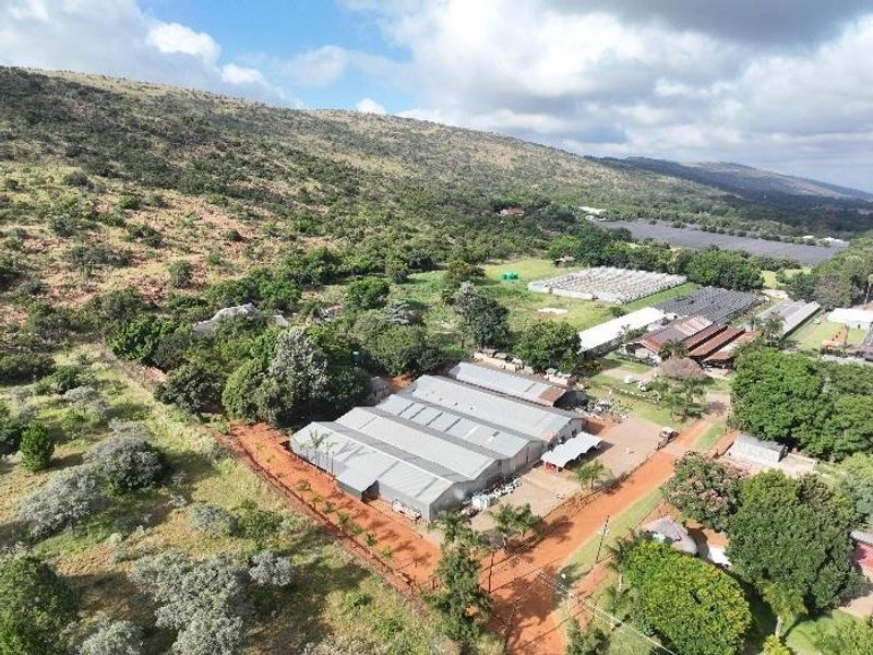 Aerial view of a farm property featuring multiple large industrial sheds, greenhouse structures, and extensive surrounding landscape with mature trees and dirt access roads.