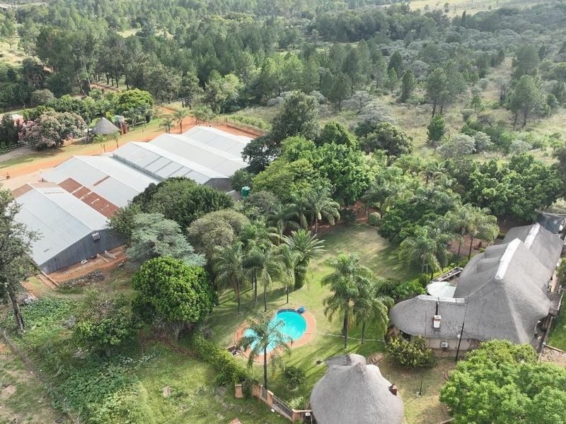 Aerial view of a farm property featuring a main residence with a thatched roof, a swimming pool, and large metal-roofed outbuildings set in greenery.