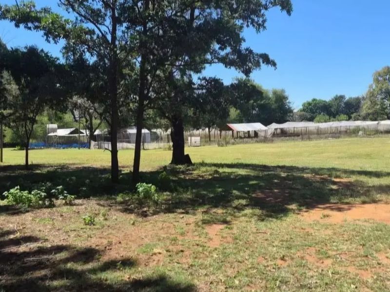 Expansive farm garden area featuring mature trees, open grass space, and a corrugated metal storage shed.