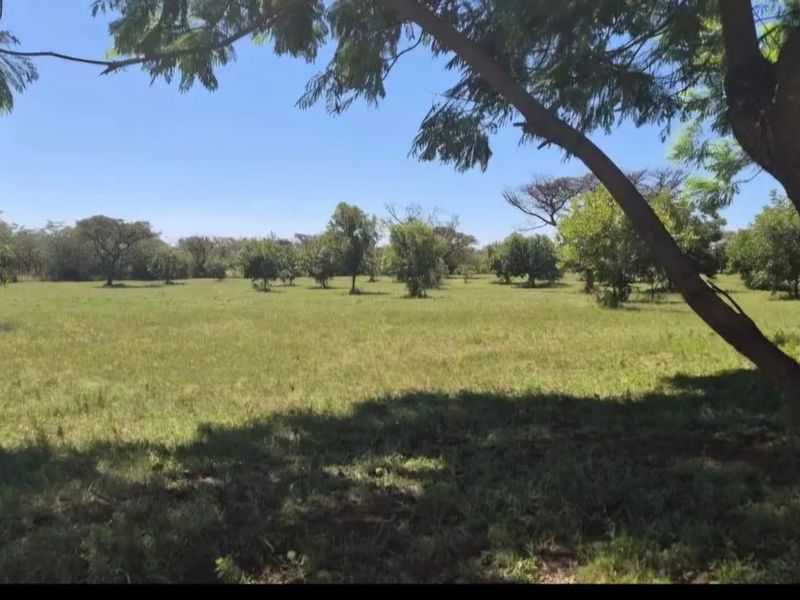 A wide, open grassy field on the farm property featuring mature trees providing natural shade.