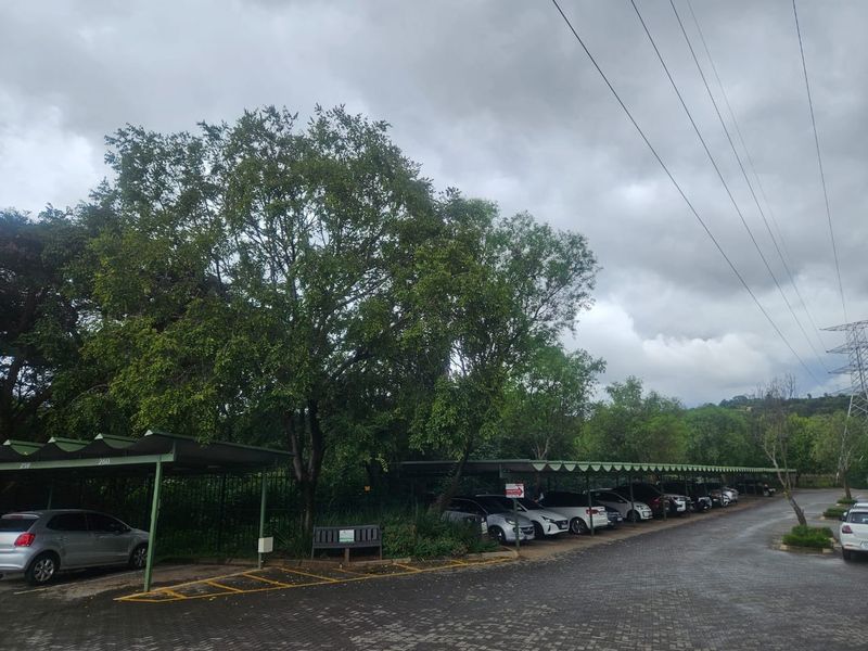 An outdoor parking area featuring multiple covered parking bays with paved surfacing and established trees.