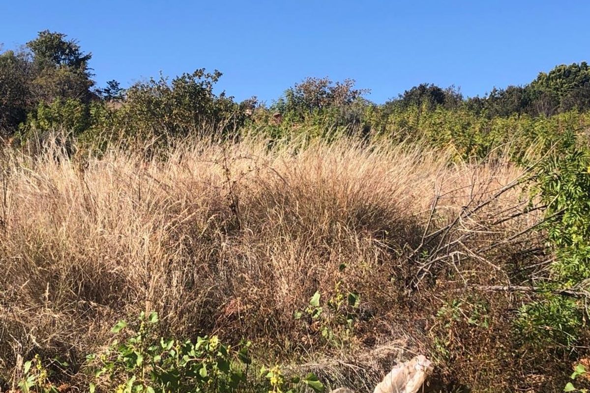 Vacant Land Residential For Sale In Soshanguve - Photo 2