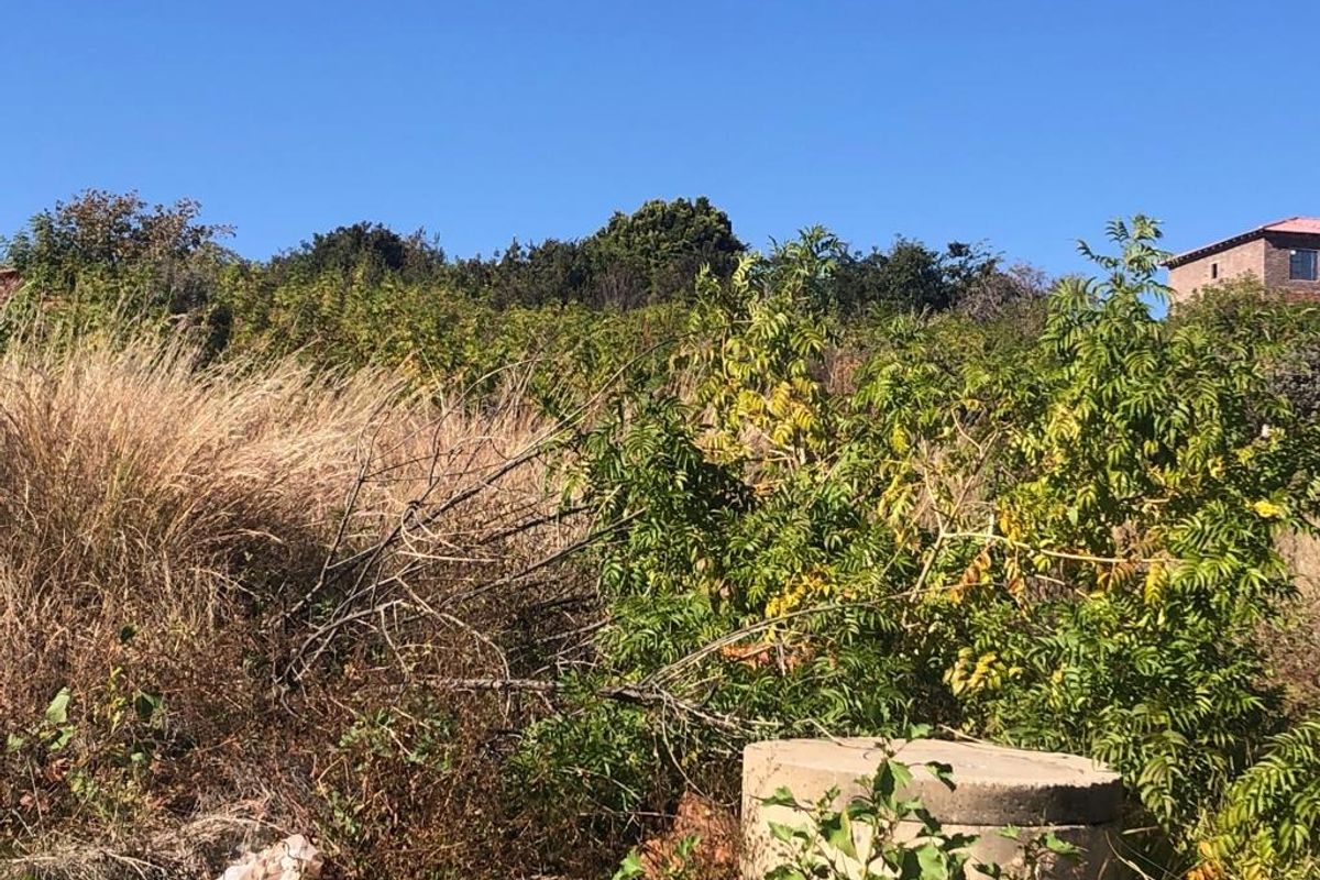 Vacant Land Residential For Sale In Soshanguve - Photo 4