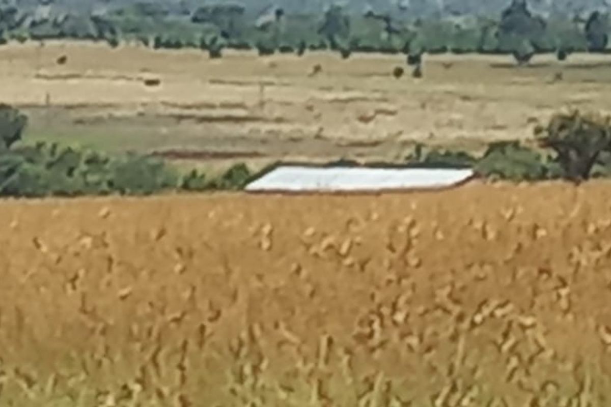 Farm For Sale In Cullinan - Photo 2