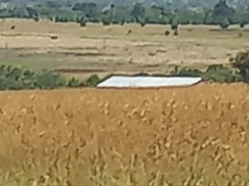 Farm For Sale In Cullinan - Photo 2