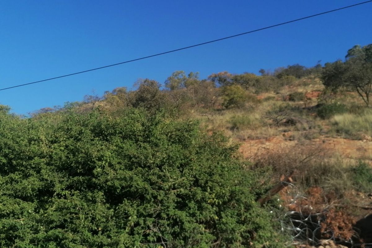 Vacant land for Sale in Florauna - Photo 3