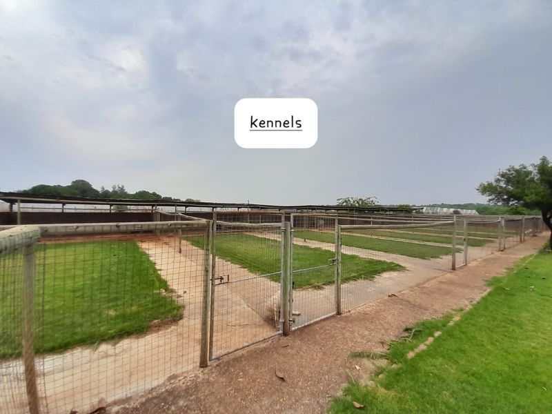 Outdoor kennel facility featuring multiple fenced enclosures with concrete pathways and grass runs, suitable for animal housing or small holding utility use.