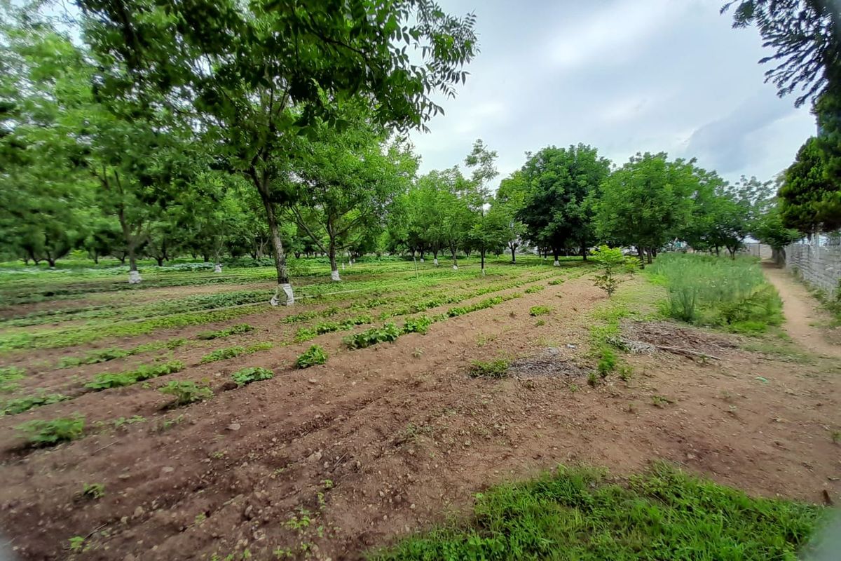 Smallholding For Sale In Pretoria - Photo 4