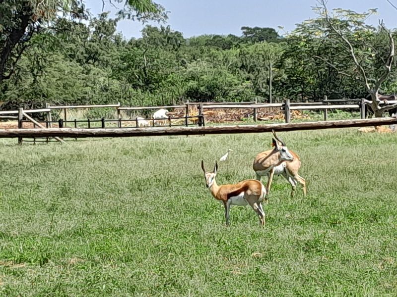 Smallholding For Sale In Pretoria - Photo 10