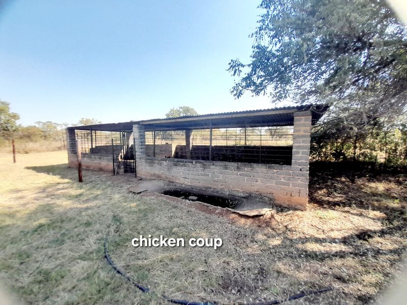 Outdoor utility structure featuring brick walls, wire mesh enclosure, and a concrete water trough, suitable for small-scale livestock or poultry housing.