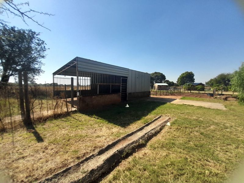 An outdoor agricultural structure featuring a corrugated metal shed with a brick base and a concrete feeding trough in a rural setting.