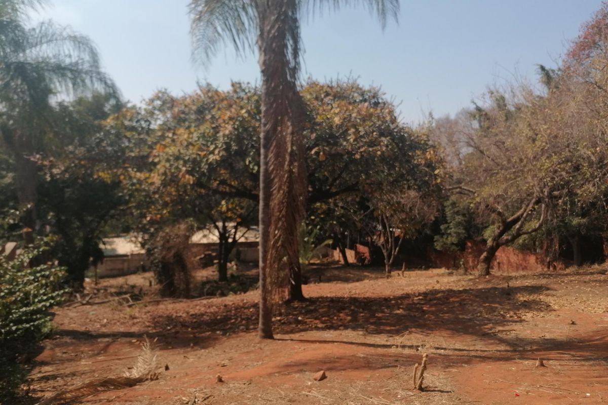 A view of a vacant residential plot featuring mature trees and natural ground cover, suitable for development.