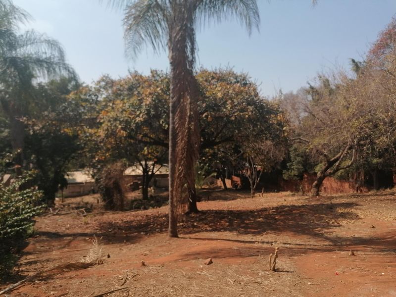A view of a vacant residential plot featuring mature trees and natural ground cover, suitable for development.