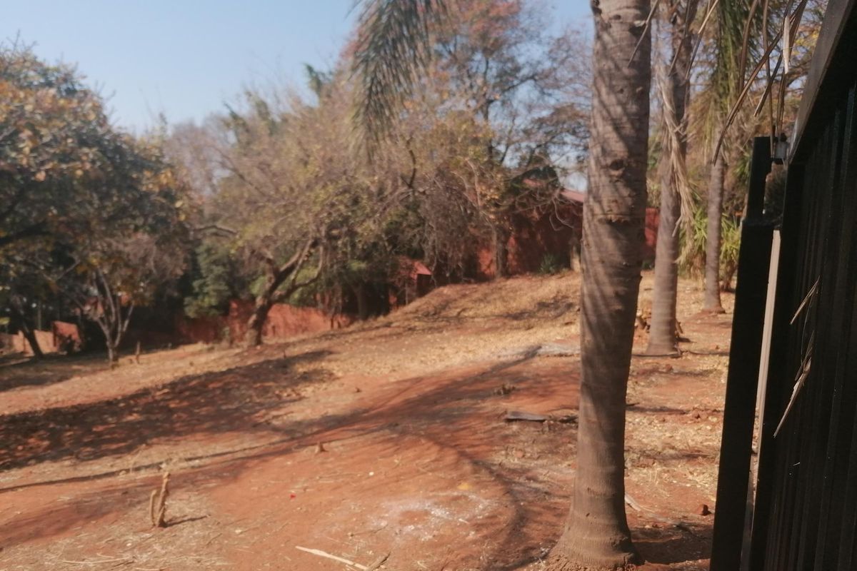 A view of a vacant residential plot featuring mature trees and natural landscaping, offering a blank canvas for future development.