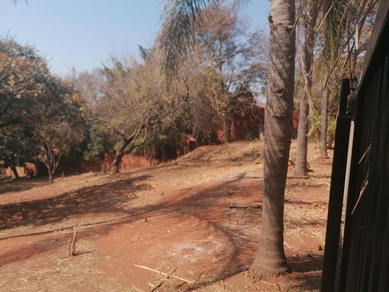 A view of a vacant residential plot featuring mature trees and natural landscaping, offering a blank canvas for future development.