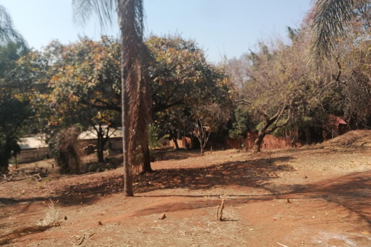 A view of a vacant residential plot featuring mature trees and natural soil terrain, suitable for future development.