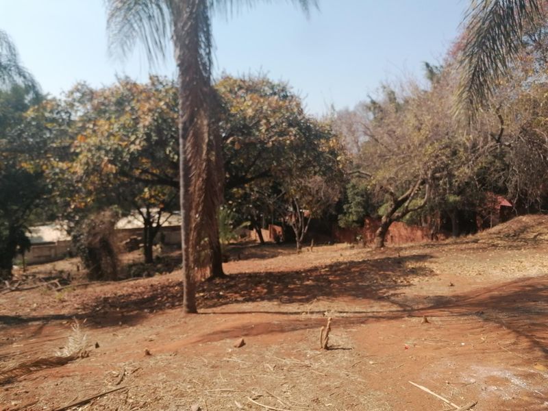 A view of a vacant residential plot featuring mature trees and natural soil terrain, suitable for future development.