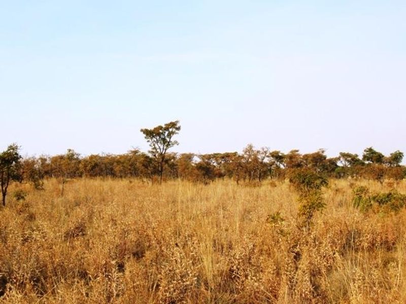 Vacant Land Residential Pending Sale In Cullinan - Photo 10