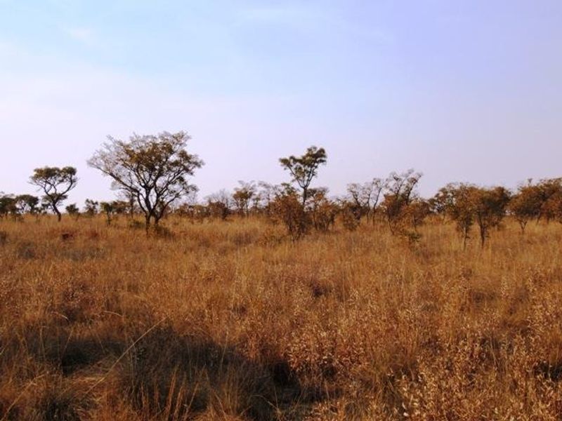 Vacant Land Residential Pending Sale In Cullinan - Photo 9