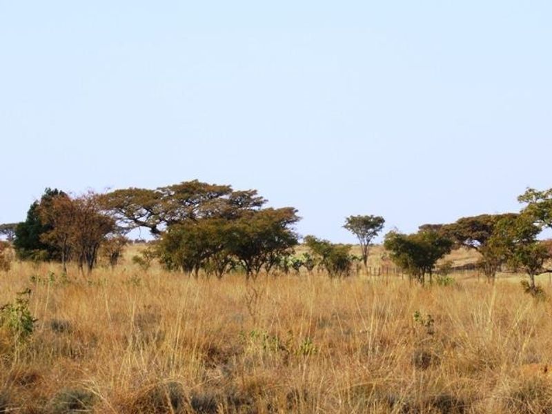 Vacant Land Residential Pending Sale In Cullinan - Photo 6