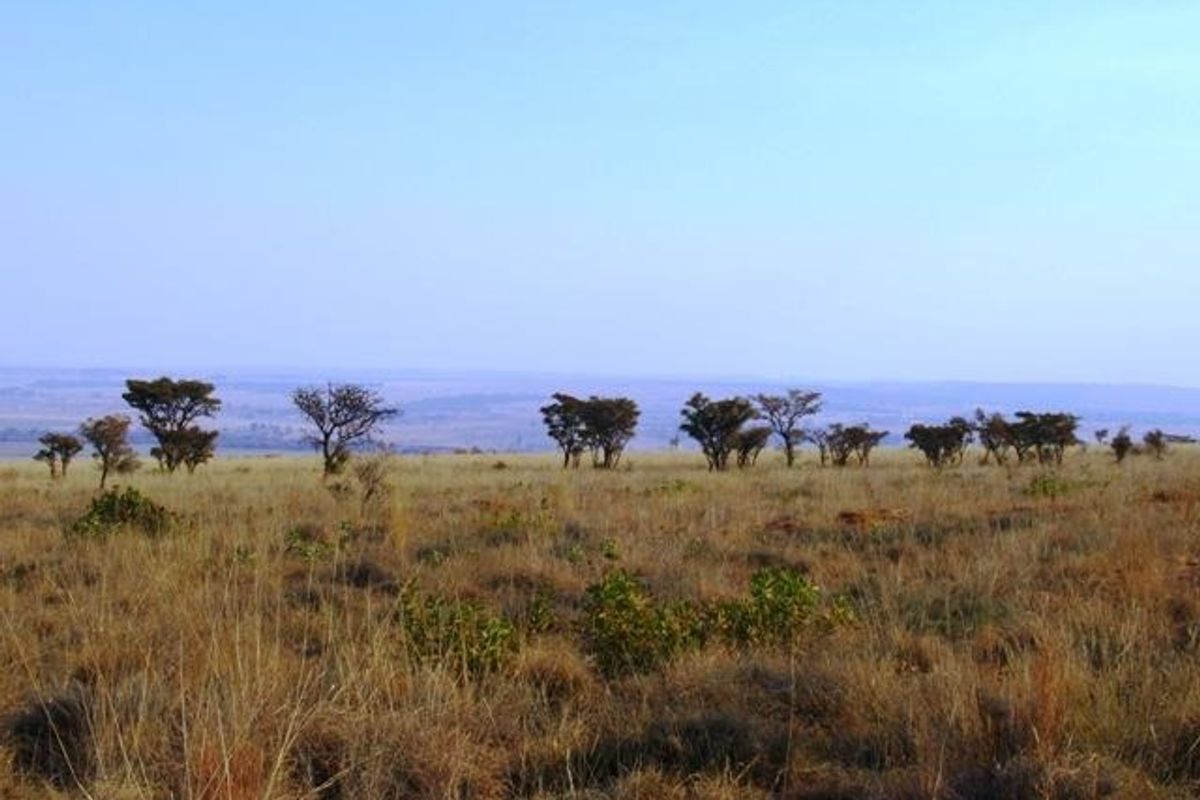 Vacant Land Residential Pending Sale In Cullinan - Photo 4