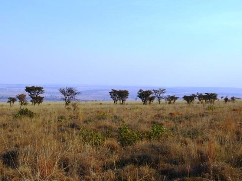 Vacant Land Residential Pending Sale In Cullinan - Photo 4