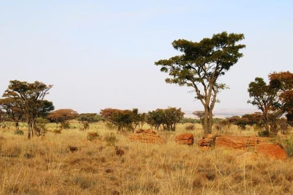 Vacant Land Residential Pending Sale In Cullinan - Photo 5