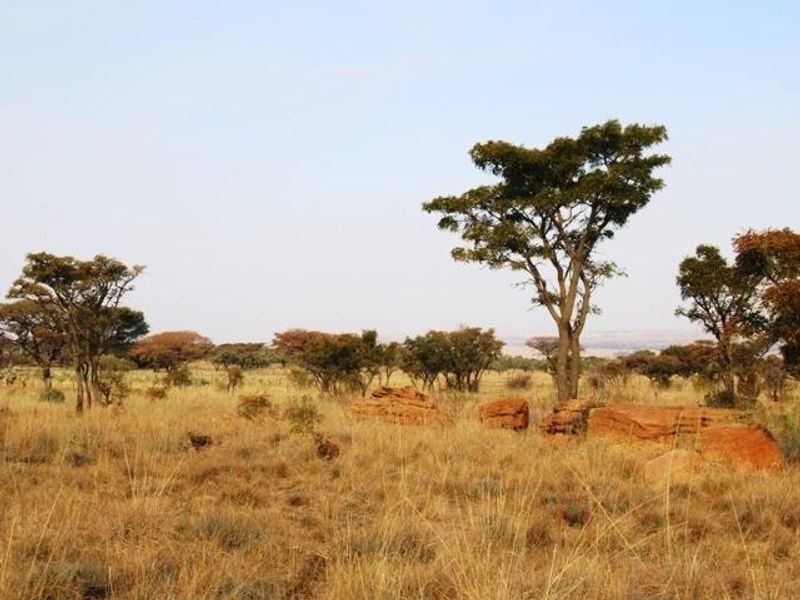 Vacant Land Residential Pending Sale In Cullinan - Photo 5