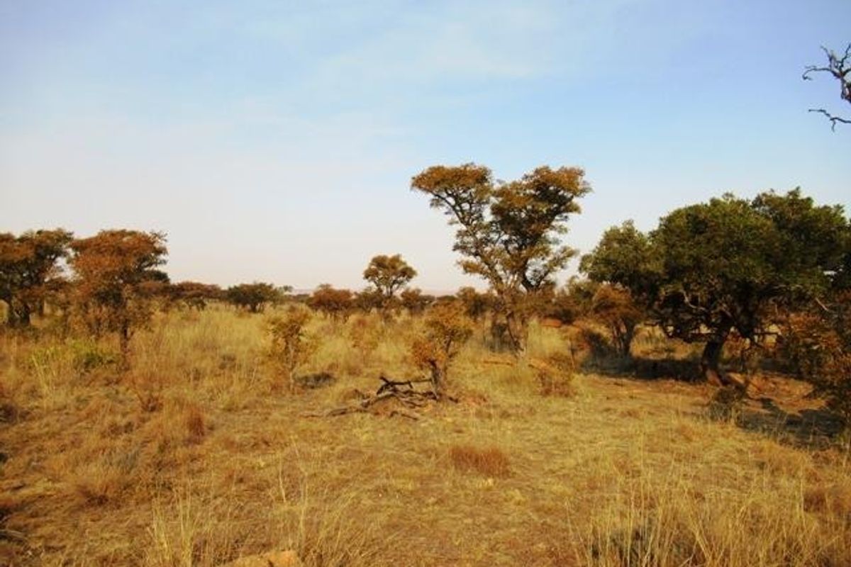 Vacant Land Residential Pending Sale In Cullinan - Photo 2