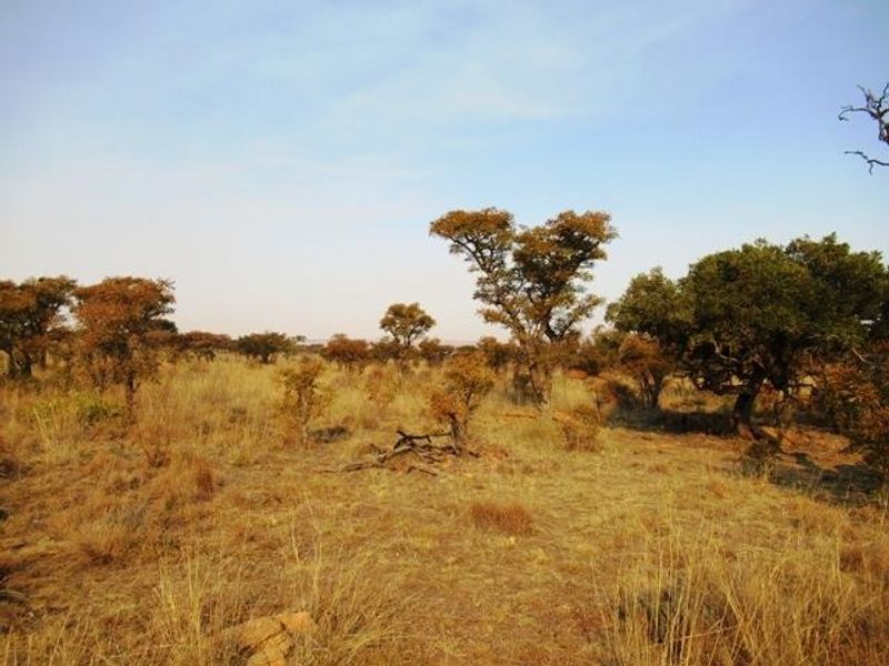 Vacant Land Residential Pending Sale In Cullinan - Photo 2