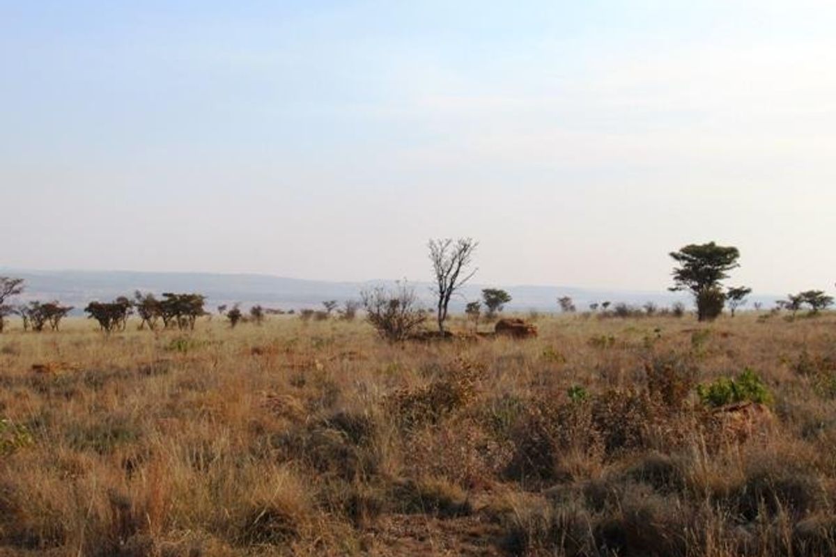 Vacant Land Residential Pending Sale In Cullinan - Photo 3