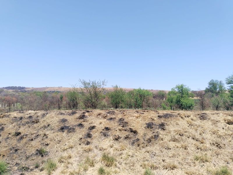 Vacant land for sale - Photo 2