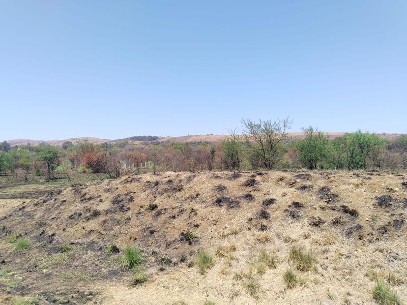 Vacant land for sale - Photo 10