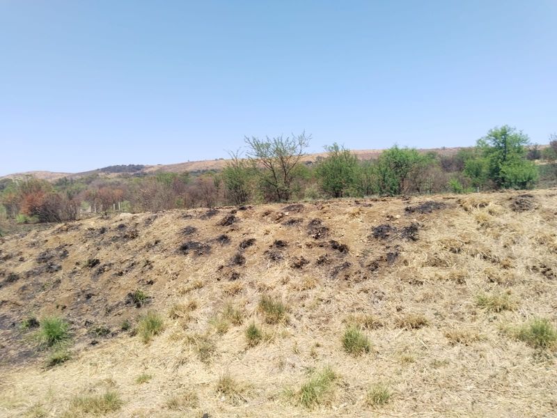 Vacant land for sale - Photo 8