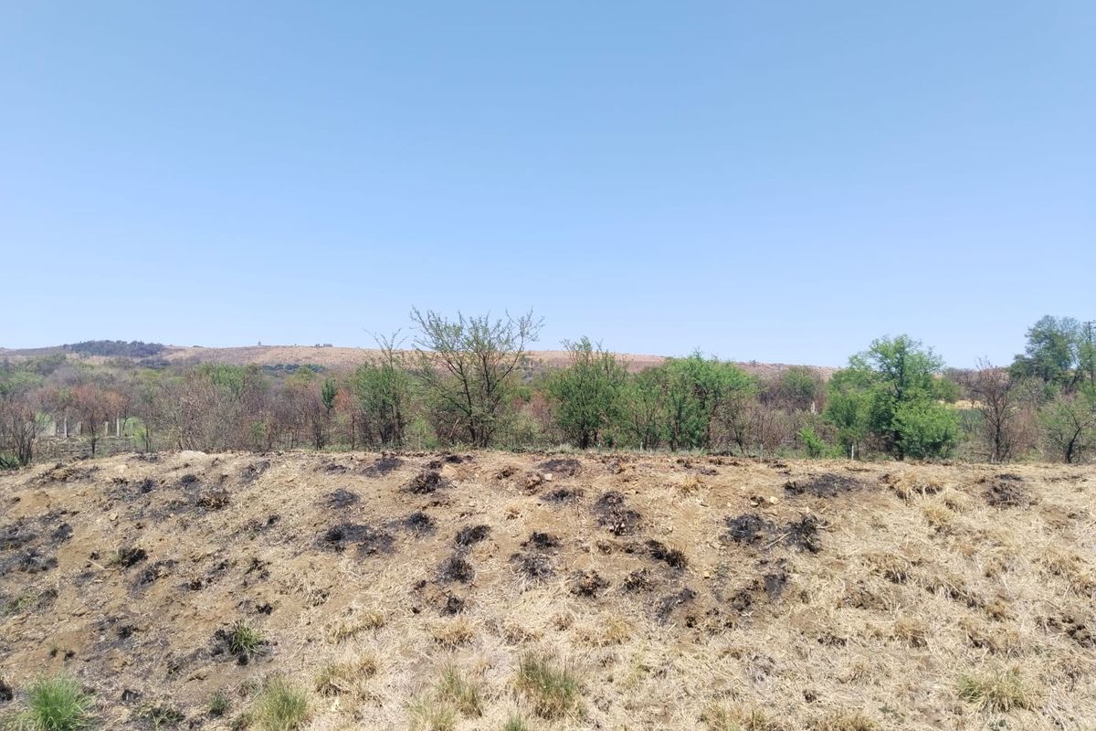 A view of a sloped, undeveloped residential plot showing signs of recent fire damage to the natural vegetation and ground cover.