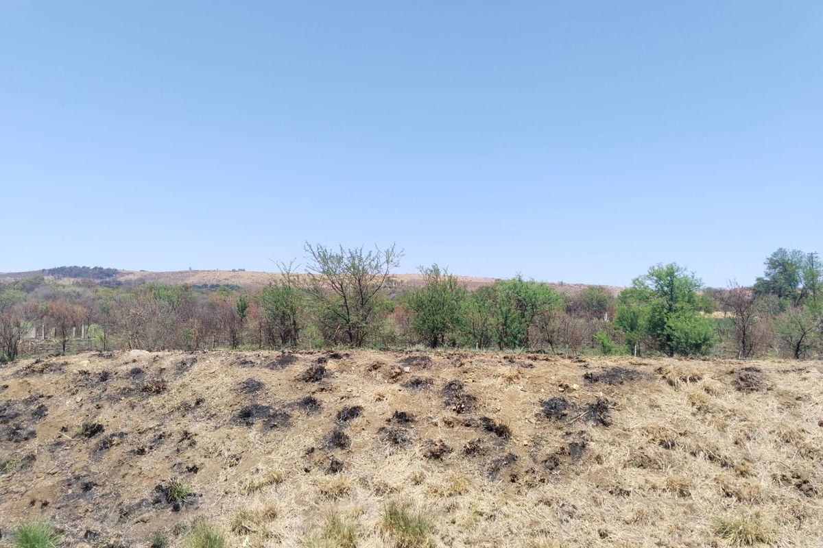 A view of a sloped, undeveloped residential plot featuring natural vegetation and signs of recent ground clearing or fire damage.