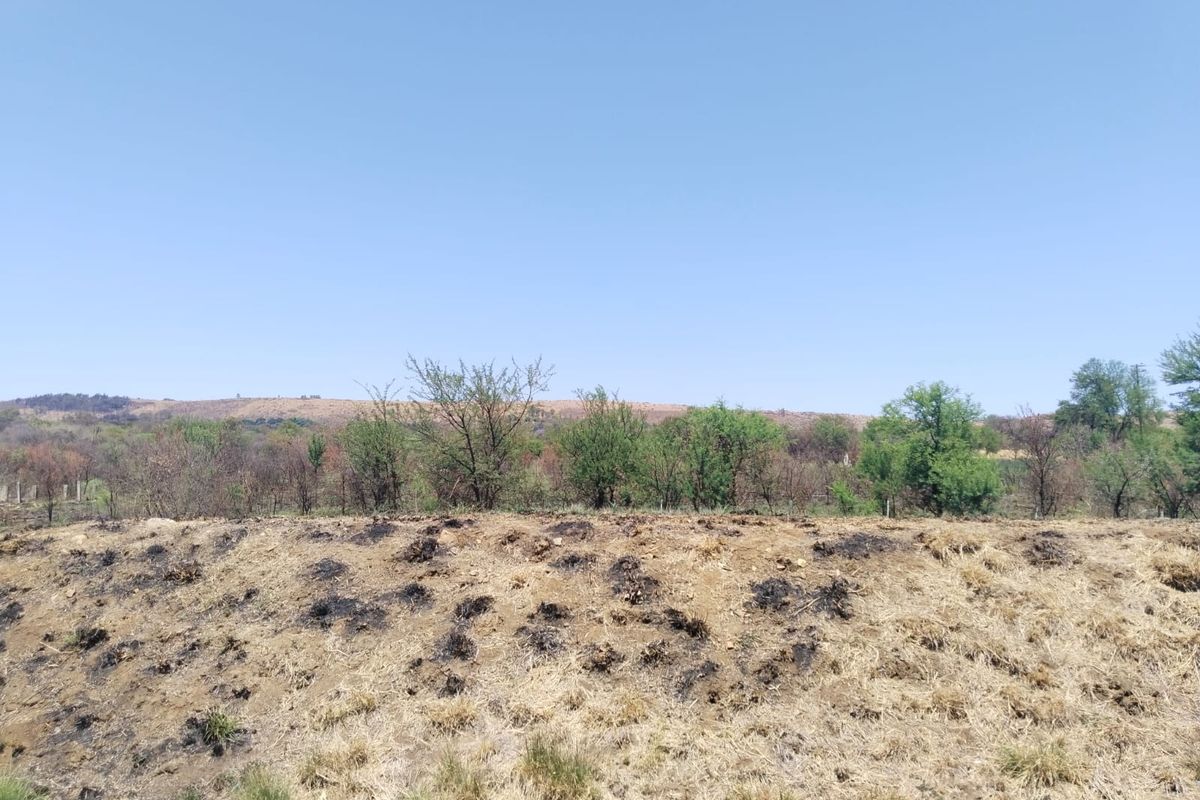 A view of the vacant residential land featuring natural landscape and native vegetation under a clear sky.