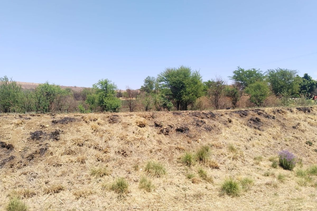 A view of the vacant residential land featuring sloped terrain with dry, scorched vegetation and scattered trees under a clear blue sky.