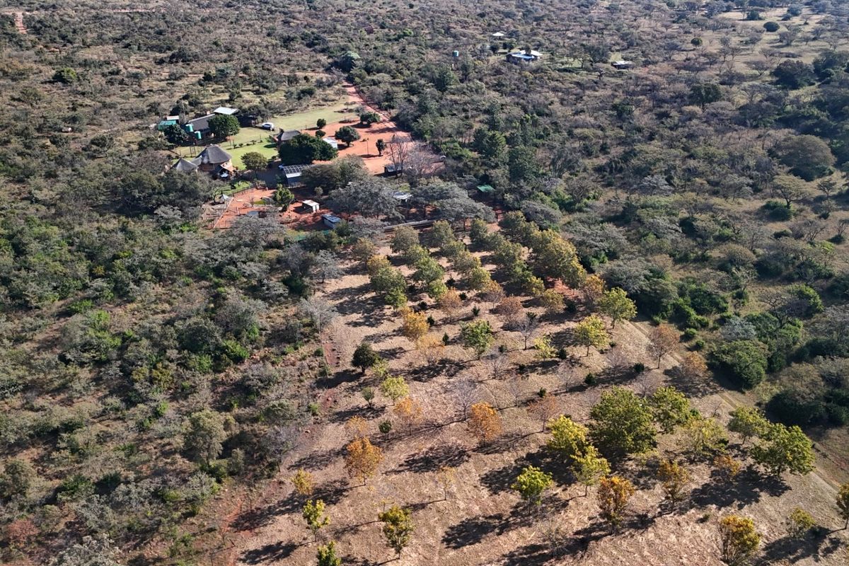 Aerial view of a small holding property featuring an established orchard, multiple outbuildings, and extensive surrounding natural landscape.
