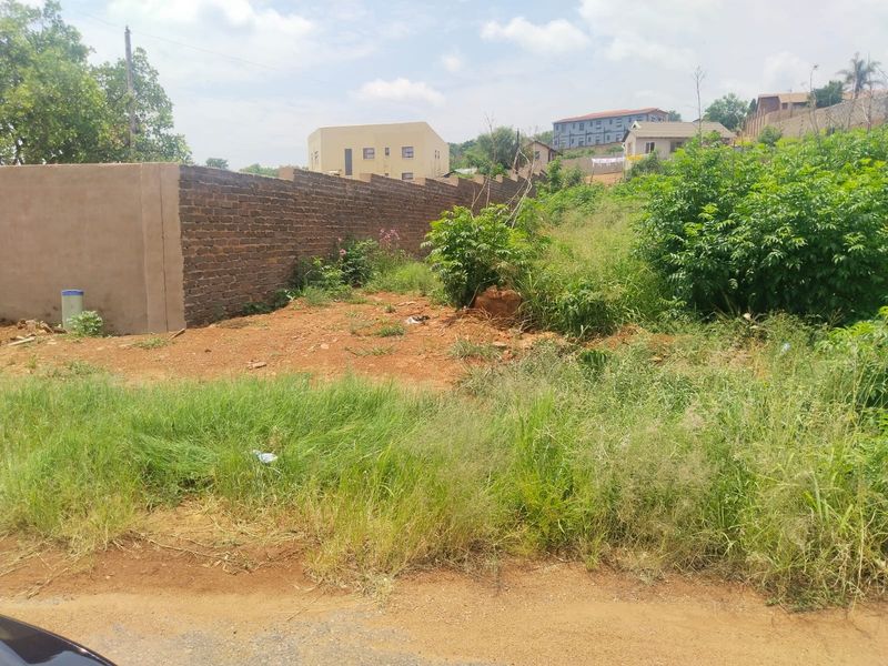 A vacant residential plot featuring a brick boundary wall and natural vegetation, offering a blank canvas for future development.