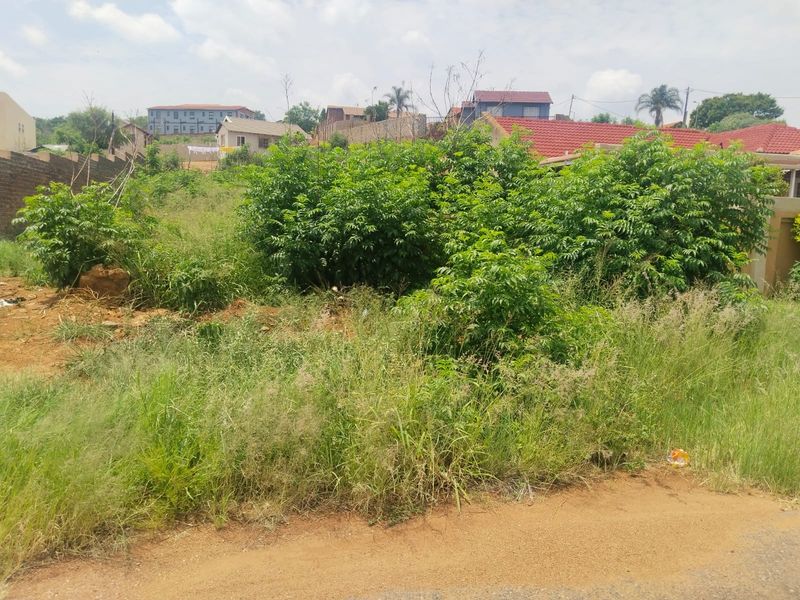 A vacant residential plot featuring overgrown vegetation and a boundary wall, situated in a developed neighborhood.