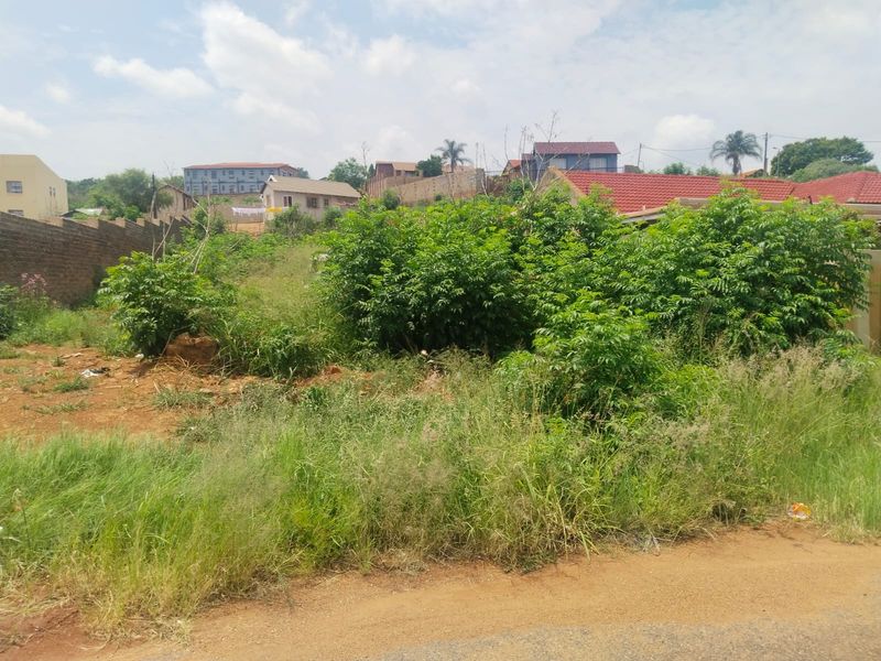 A vacant residential plot featuring natural vegetation and a boundary wall, situated in an established neighborhood setting.